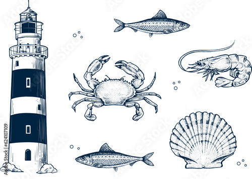 Seafood collection. Engraved vintage. Lighthouse, Light House, Fish, seashell, crab, shrimp, herbs. Vector illustration. Sea restaurant set.