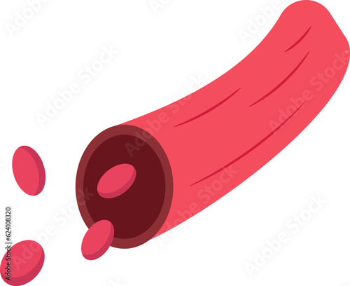 Artery on Human Internal Organs. Vector Illustration