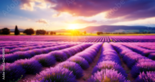 Summer background with blurred bokeh  purple lavender flowers and sunbeams.