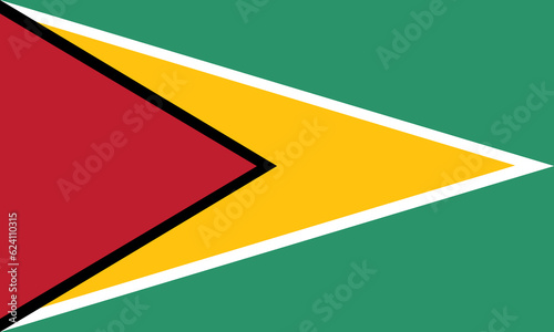 Guyana flag wave isolated on png or transparent background photo