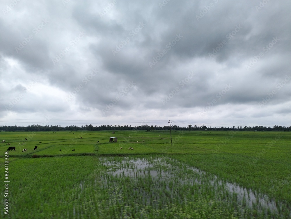 Riverside farming field in the rainy season. Riverside farming field in the rainy season.