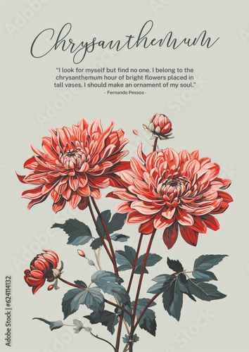 Graceful Red Chrysanthemum Blossom with Budding Buds and Lush Foliage. Card design.