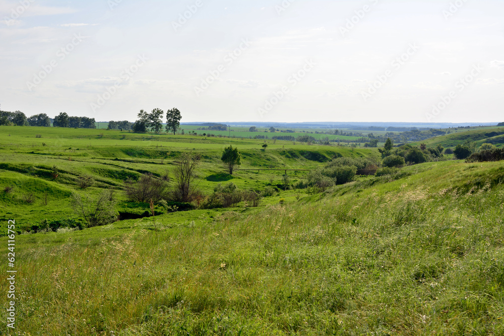 grassland with green hills bushes and trees and clear sky copy space