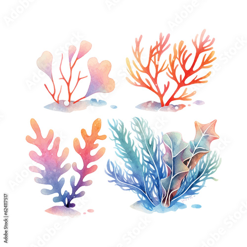 Seaweed watercolor. Vintage botanical illustration. Vector decoration. Hand drawn sketch.