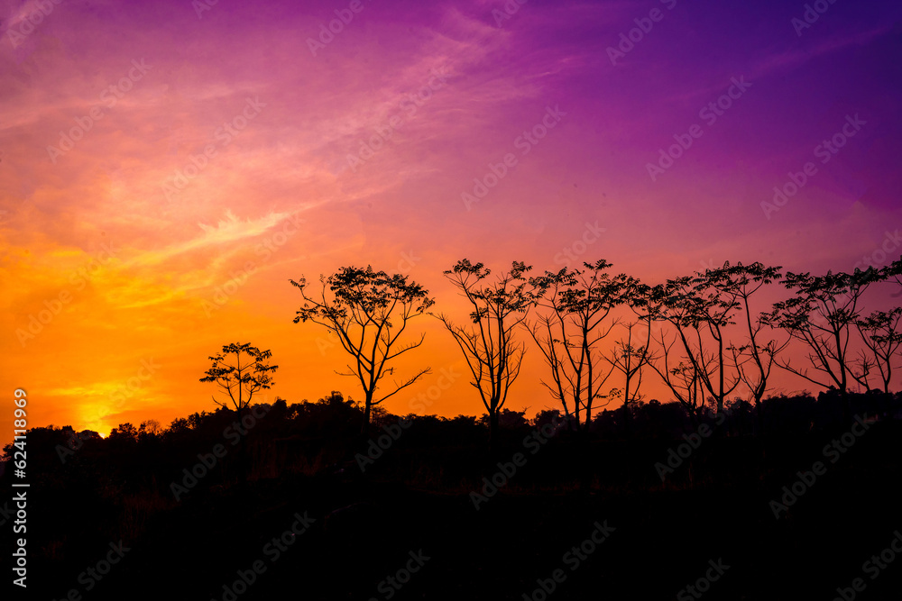 silhouette of trees against the orange and purple sky at Ranu Manduro, Mojokerto, Indonesia.