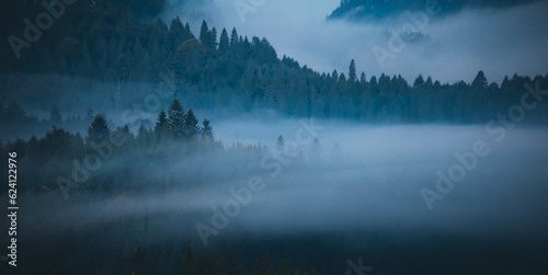 Misty morning in the mountains © Mateusz