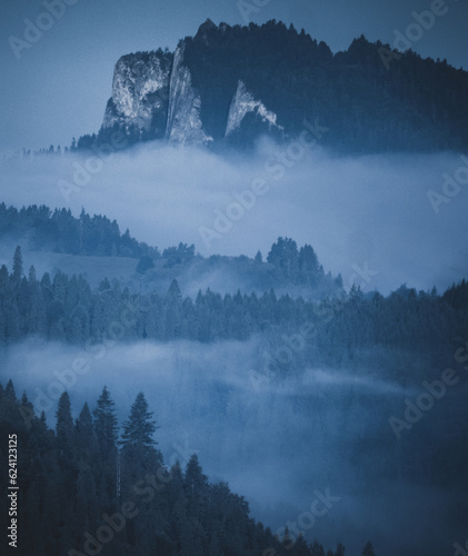 Mist over the mountains