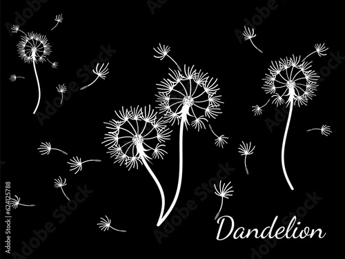 Abstract background dandelion design for decoration design.