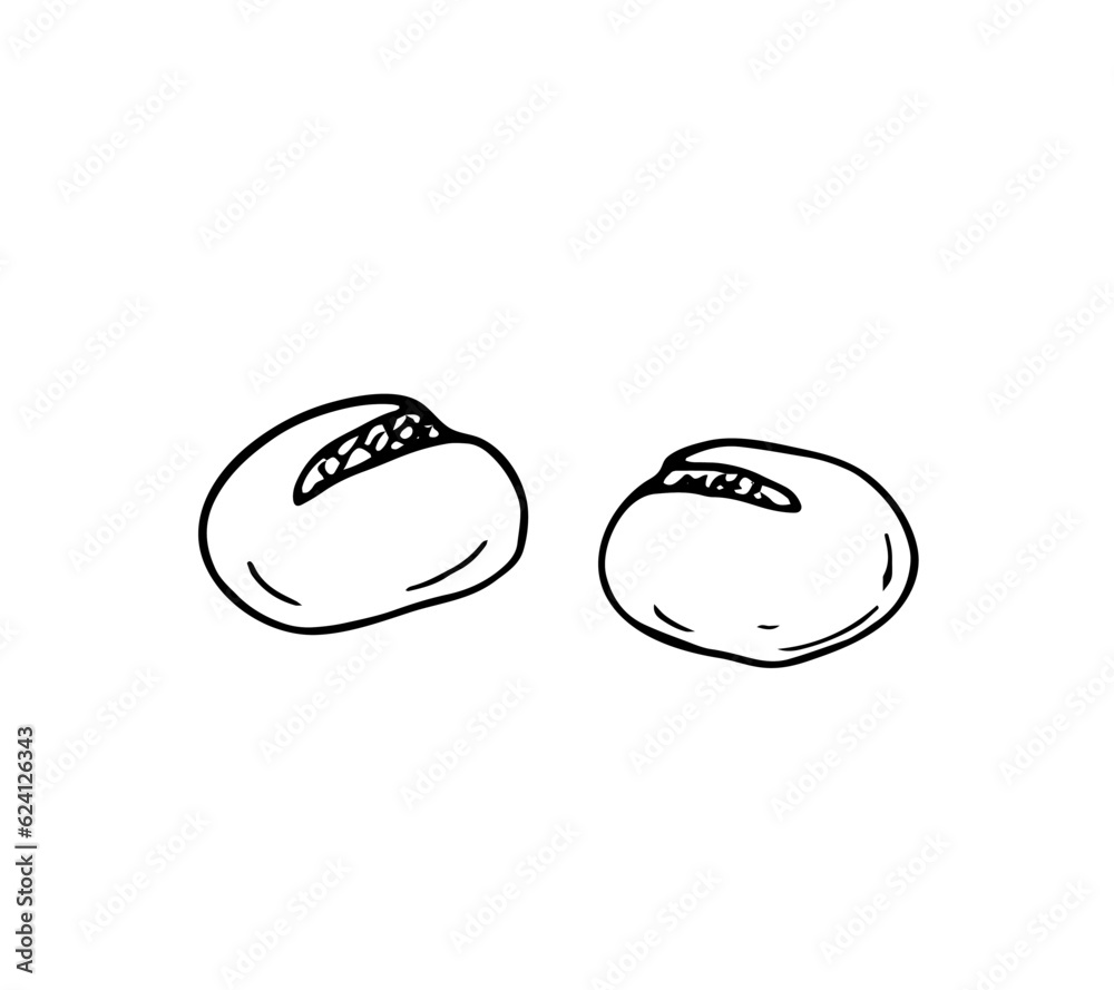 Vector hand-drawn buns on white background. Isolated illustration. Bakery vector element of design Vector hand-drawn buns on white background. Isolated illustration. Bakery vector element of design