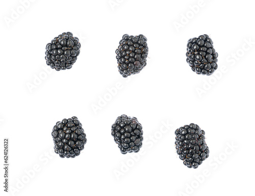 Fresh blackberries on transparent background