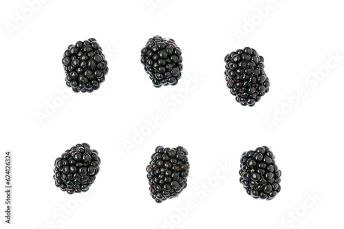Fresh blackberries on transparent background