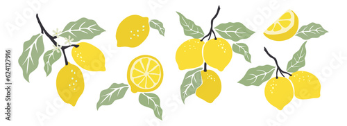 Vászonkép Hand drawn abstract lemons set