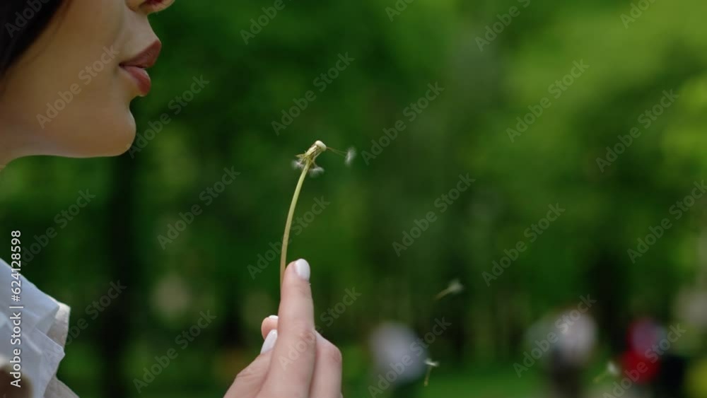 Young girl blows a dandelion and smiles. the concept of happiness, a happy moment, joyful moments. Close up. Middle of the park in big city Young girl blows a dandelion and smiles. the concept of happiness, a happy moment, joyful moments. Close up. Middle of the park in big city