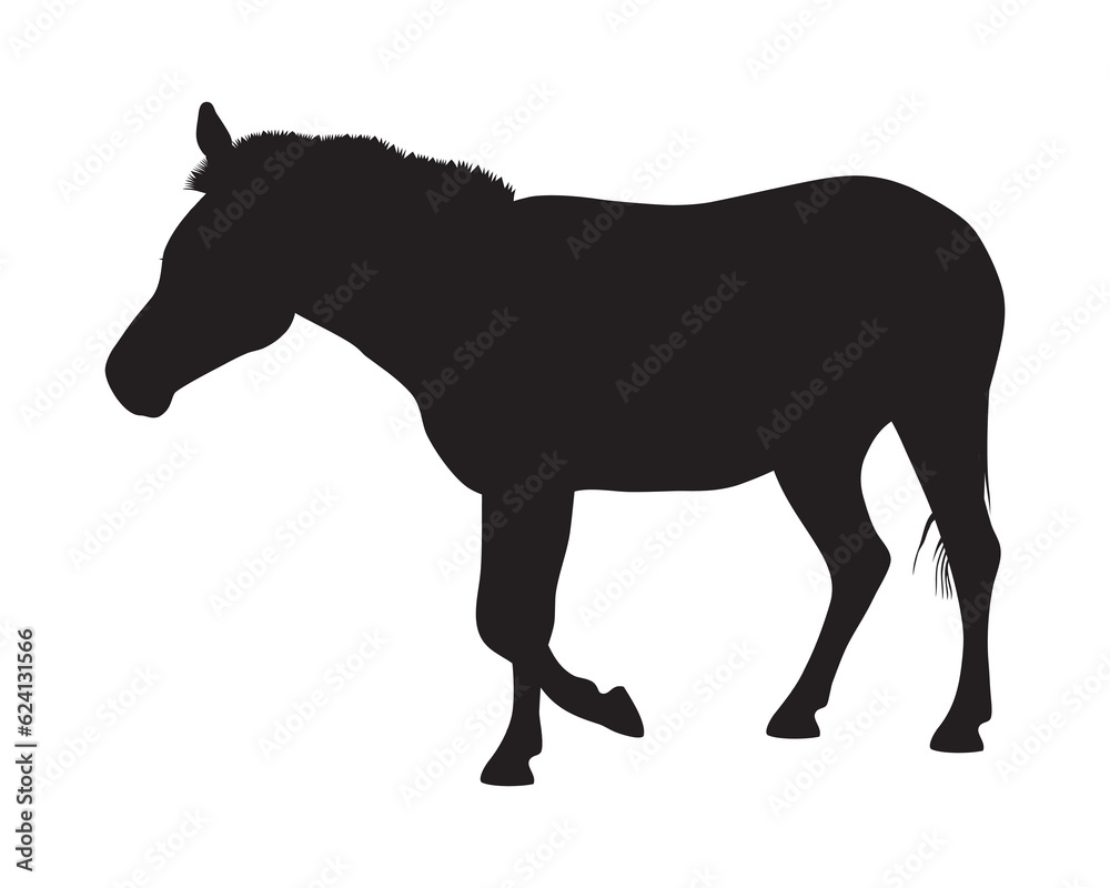 Zebra silhouette vector illustration isolated on white background