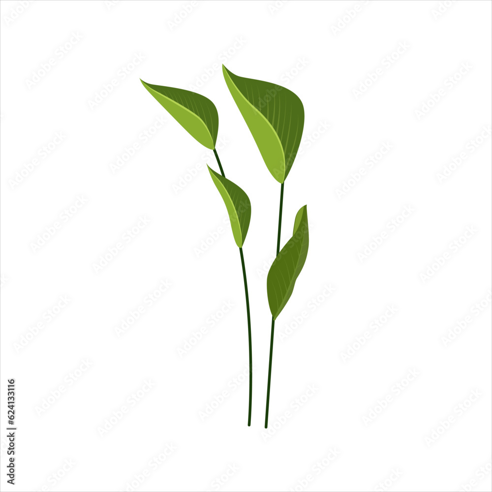 Tropical leaves collection. Vector isolated elements on the white background
