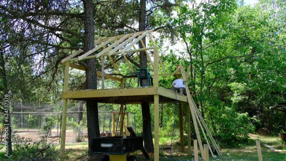 Man building tree house frame and zip line starting platform. There are two large trees going through platform and tree house. Man building tree house frame and zip line starting platform. There are two large trees going through platform and tree house.