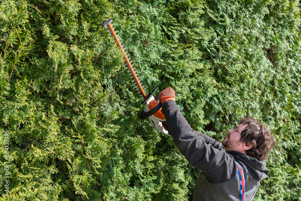 A Man trims the high hedges with an electric hedges trimmer. A property