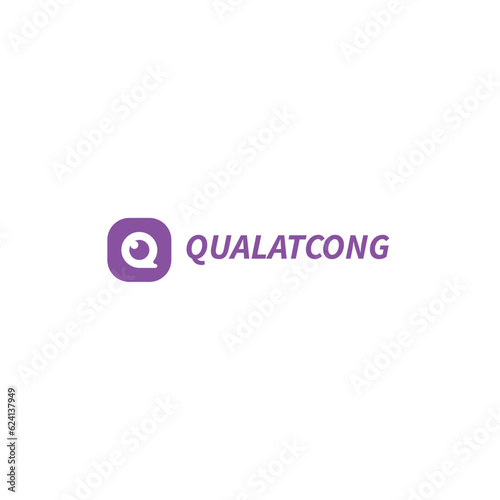 Q Capital With Eye Negative Space Logo