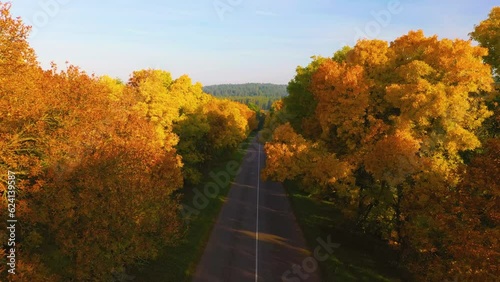 Yellow and red trees along the road with a passing car. Beautiful morning landscape during golden autumn photo