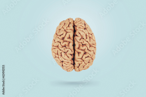 Real creative brain on a blue background, top view. Creative idea, concept. Health and neurosurgery
