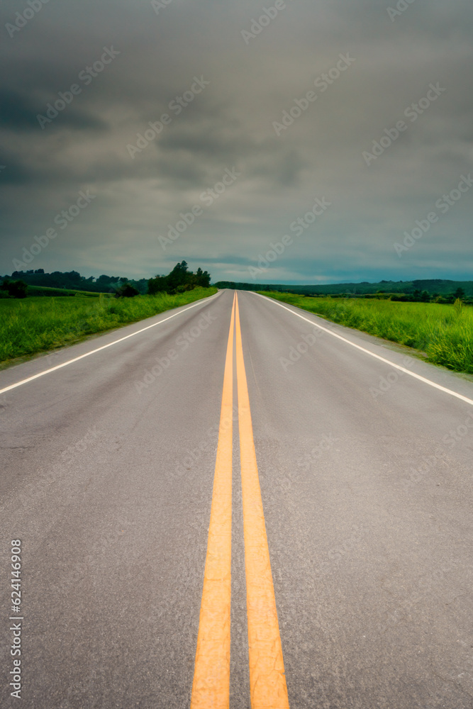 Road in the field