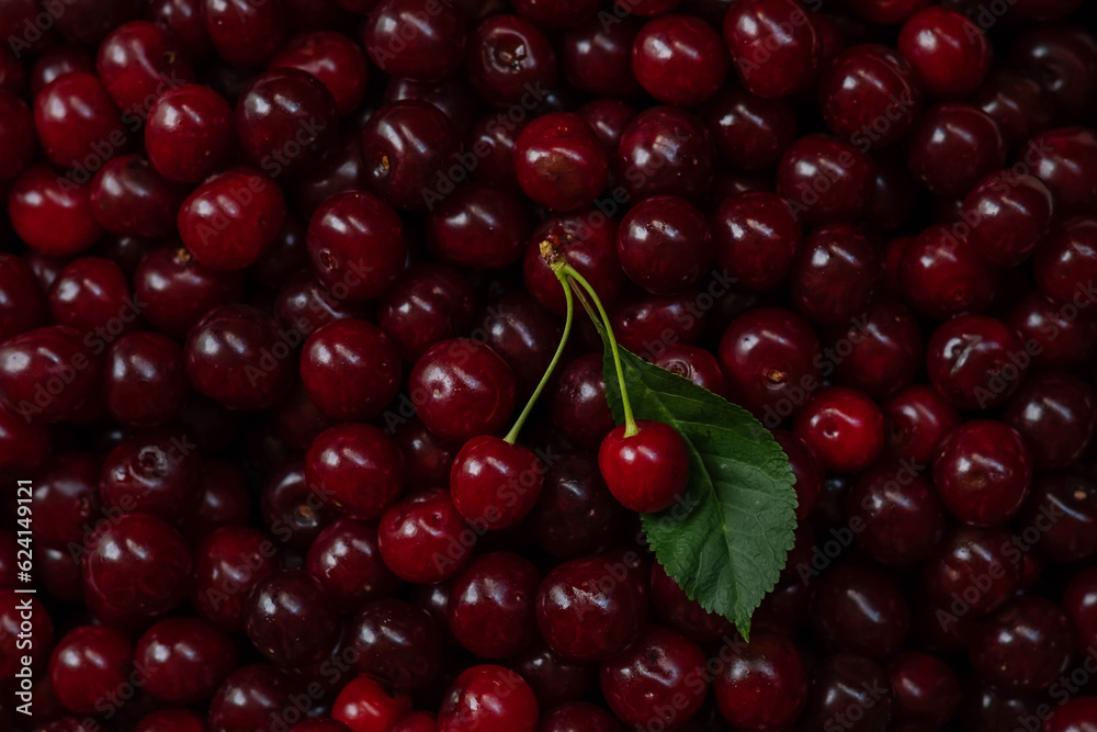 Blurred image of ripe cherries. Fruit background, top view. Blurred image of ripe cherries. Fruit background, top view.