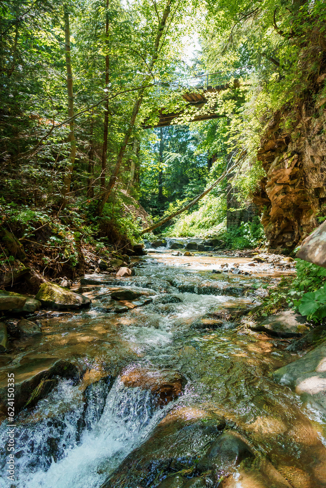 Mountain river in the forest among the rocks