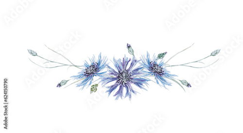 Kornblumen - cornflowers Aquarell Illustration