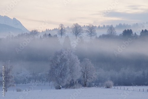 mystical winter landscape with foggy background after sunset