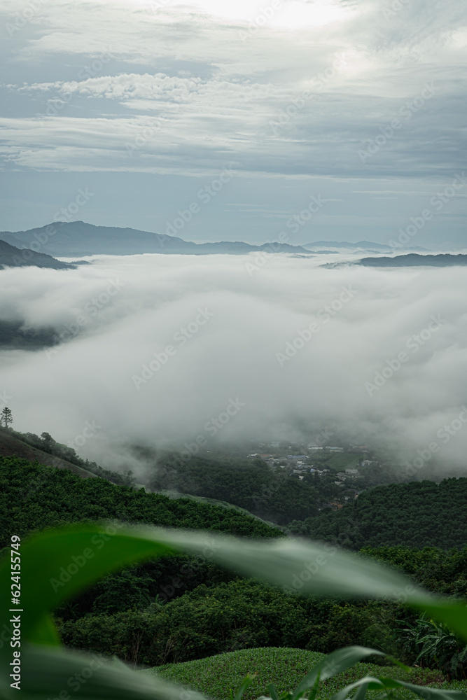 Obraz premium fog in the mountains