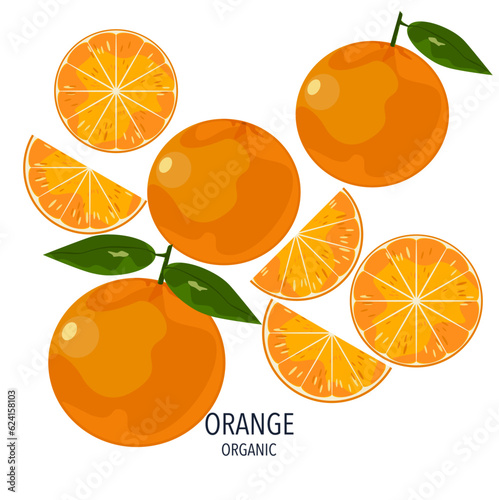 Orange fruit illustration split oranges on a white background Seasonal fruits. Tropical. Isolated image, flat vector illustration.