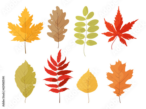 Autumn falling leaves isolated on white background. Hand drawn vector autumn leaves set. Colored trendy illustration. Vector illustration