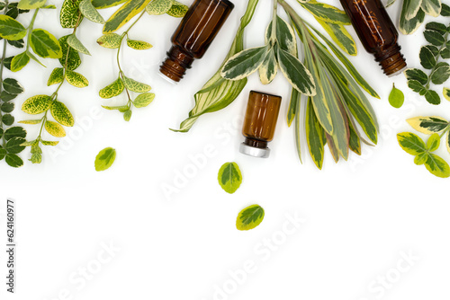 Pharmacy and natural medicine, medicinal herbs and oils for spa on white background, healthy lifestyle, flat surface with empty space, top view