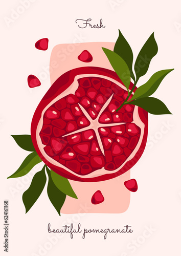 round garnet with bright grains inside. juicy pomegranate with leaves poster