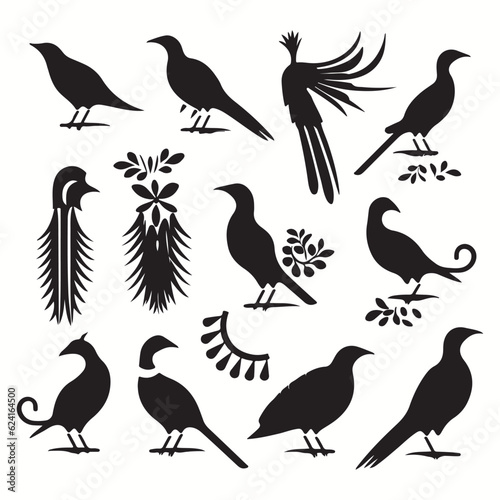 Quetzal silhouettes and icons. Black flat color simple elegant Quetzal animal vector and illustration.