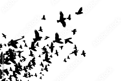 A flock of flying birds. Vector illustration