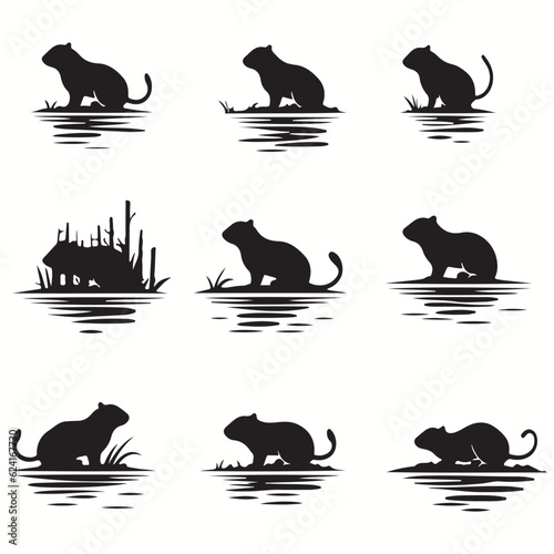 Water Vole silhouettes and icons. Black flat color simple elegant Quetzal animal vector and illustration.