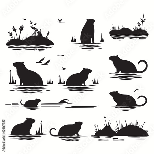 Water Vole silhouettes and icons. Black flat color simple elegant Quetzal animal vector and illustration.