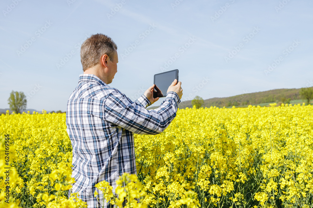 Close-up of a male farmer or agronomist standing in a field of blooming rape and talking on a mobile phone. Farmer checking the bloom.