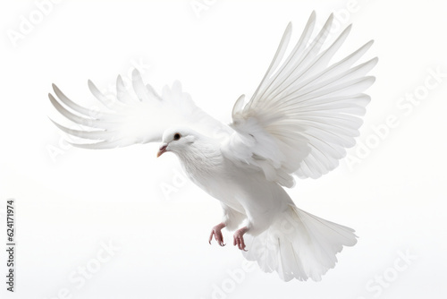 Experience the thrill of the chase as a white bird soars through the sky, its wings spread wide as it hunts for prey in the wild. AI Generative.