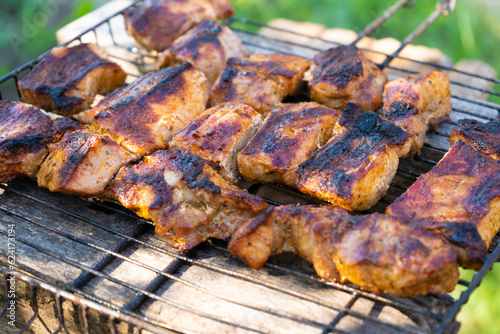 Grilled meat pieces on a BBQ grill. Fried pork kebab lie on iron barbeque grid on sunny summer day with green grass background