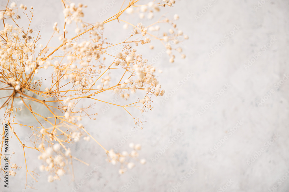 Dry white gypsophila flowers in a glass vase on a light texture  background in shabby chic style.