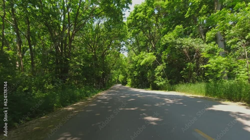 Point Pelee Drive POV Point of view back car view. Road behind driving