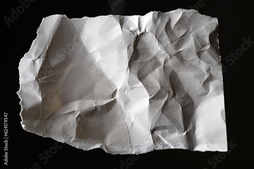Piece of old paper. Torn wh...