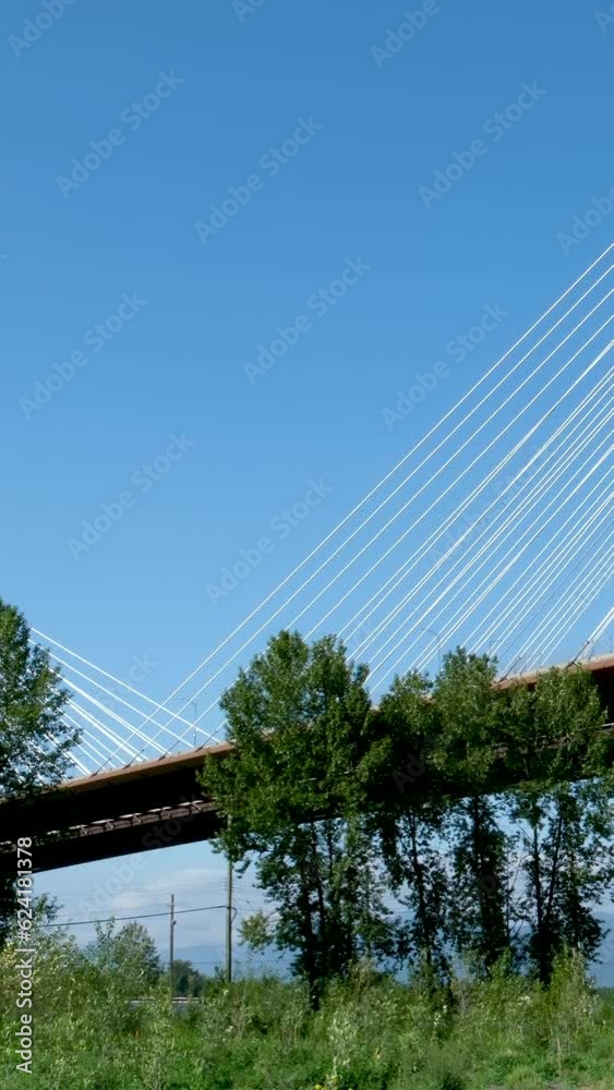 Port Mann bridge Canada. over Fraser River in BC interesting unusual footage of bridge from bottom up beautiful white cables stretched support mighty strong bridge green trees railroad Earth on siphon