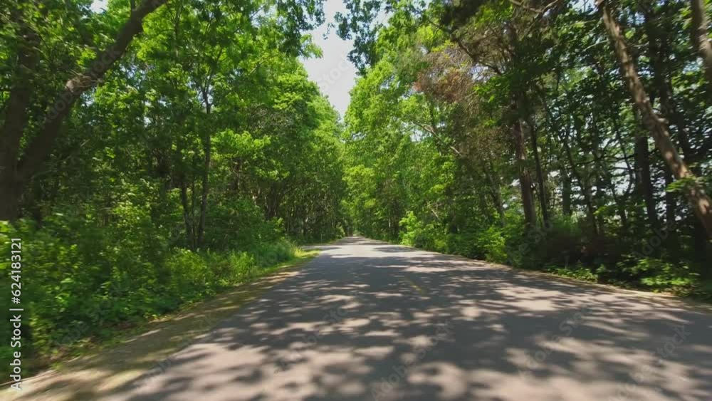 Point Pelee Drive. POV, back car view. Driving view in the tunnel of