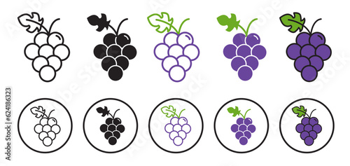 Fotografie, Obraz Grapes vector icon set