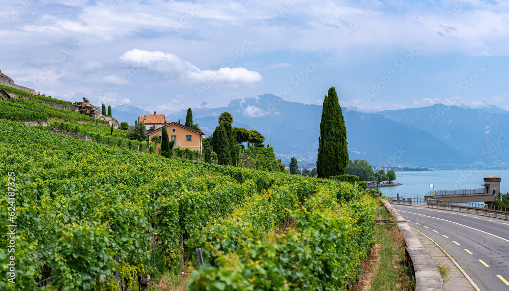 Vineyards at Lake Geneva, Switzerland