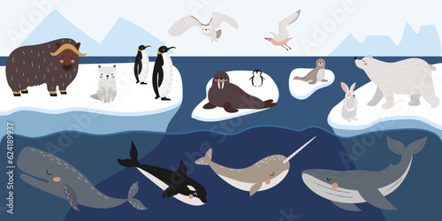 Vector set of wild polar animals, marine mammals and birds. Collection of Arctic animals on ice floes. Whale, narwhal, walrus,polar owl, polar bear, penguins.Colorful vector illustration in flat style