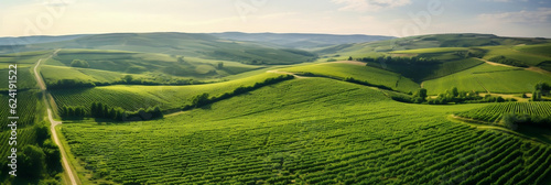 Green field , Top view , horizon